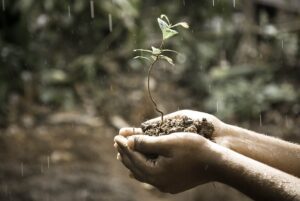 A Evolução dos Subsídios no Setor Agrícola Brasileiro
